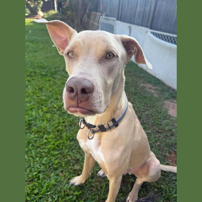 Photo of Bama