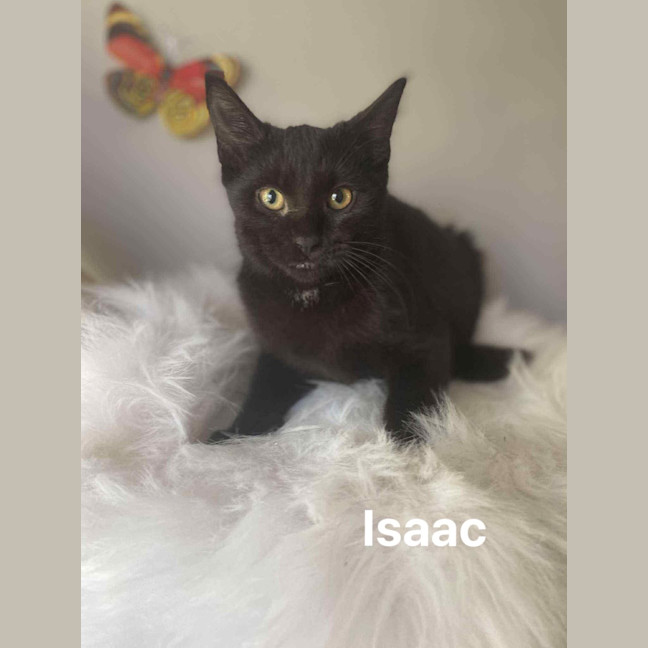 Photo of Issac