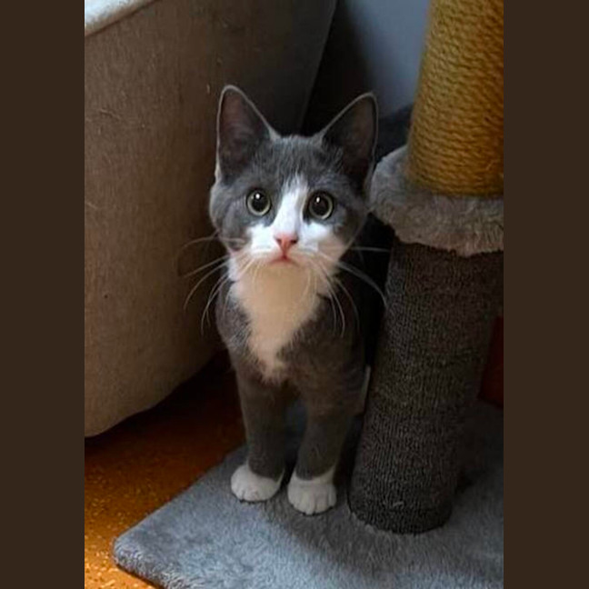 Photo of Dimitri