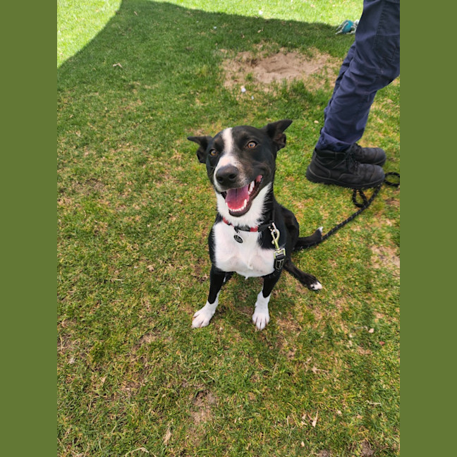 Photo of Nando (Spyro)