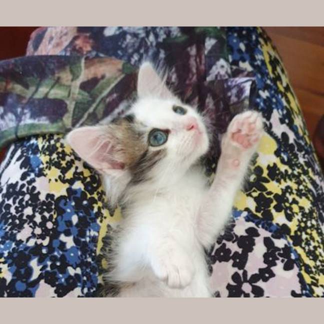 Photo of Mimi