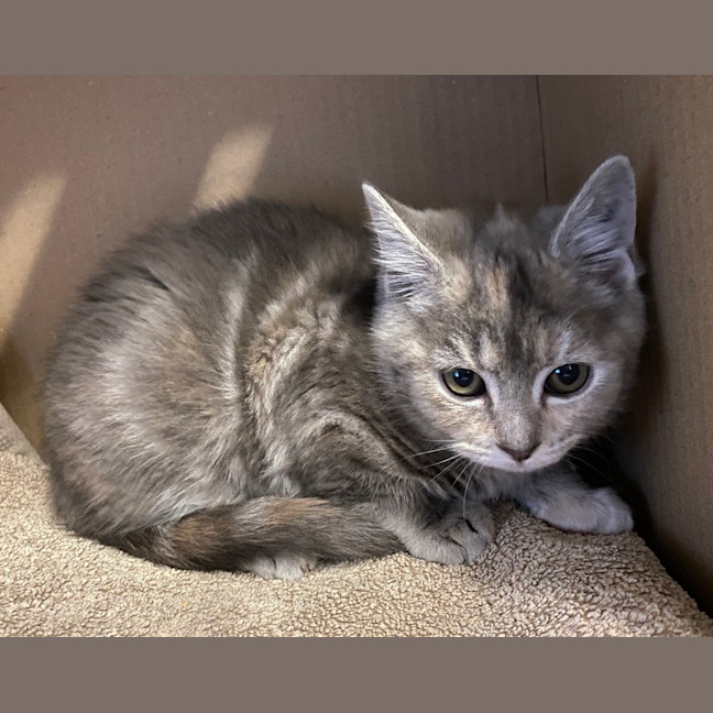Photo of Mimi