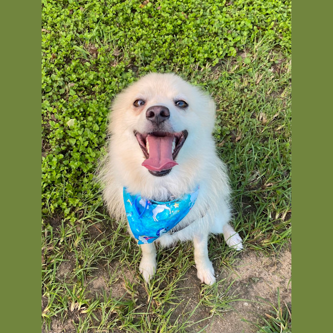 Photo of Peppi