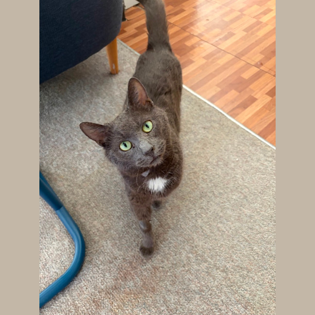 Photo of Ralph