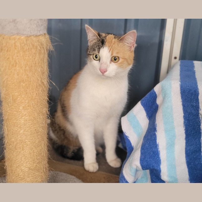 Photo of Maggie