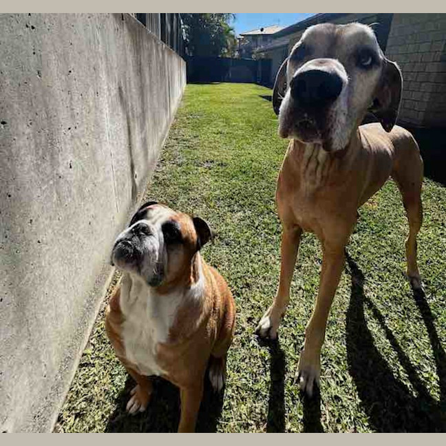 Photo of Humphrey And Louie