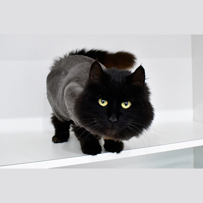 Photo of Betty Superstitious