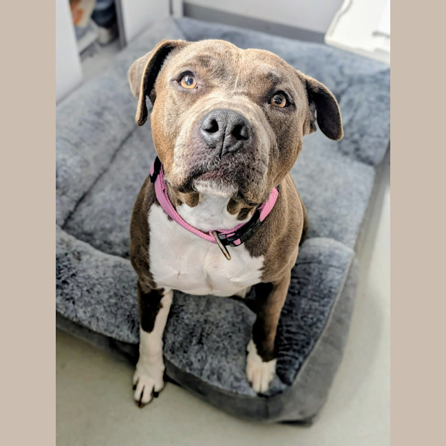 Photo of 🍧 Sassy 6524 🍧