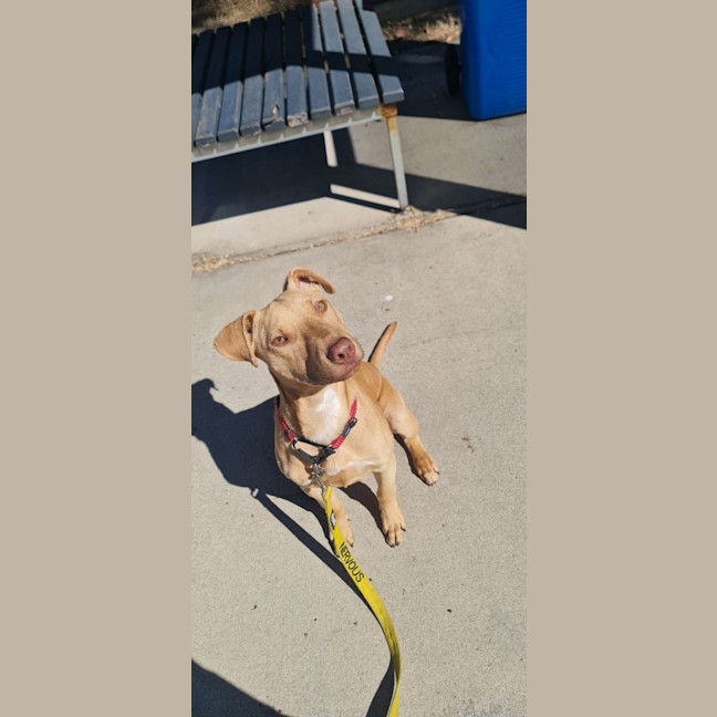 Photo of Ransom