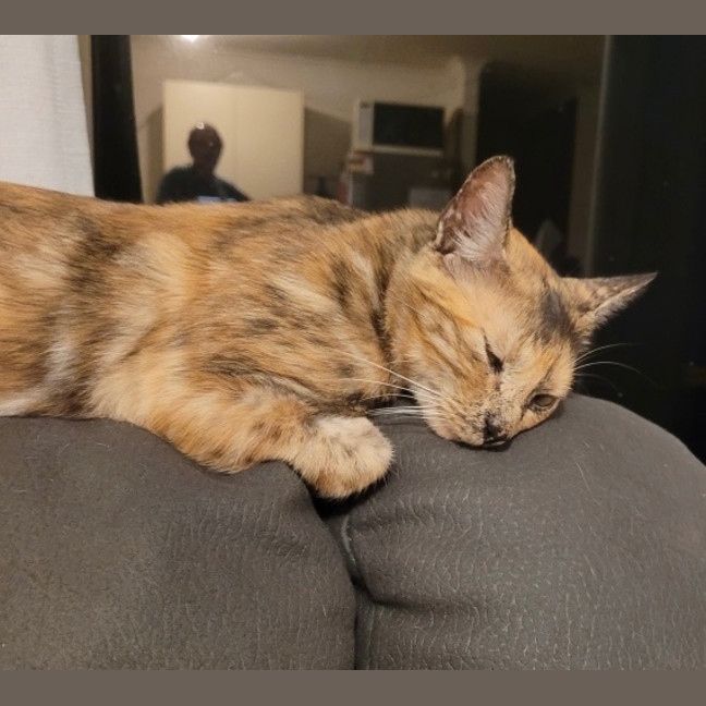 Photo of Daisy