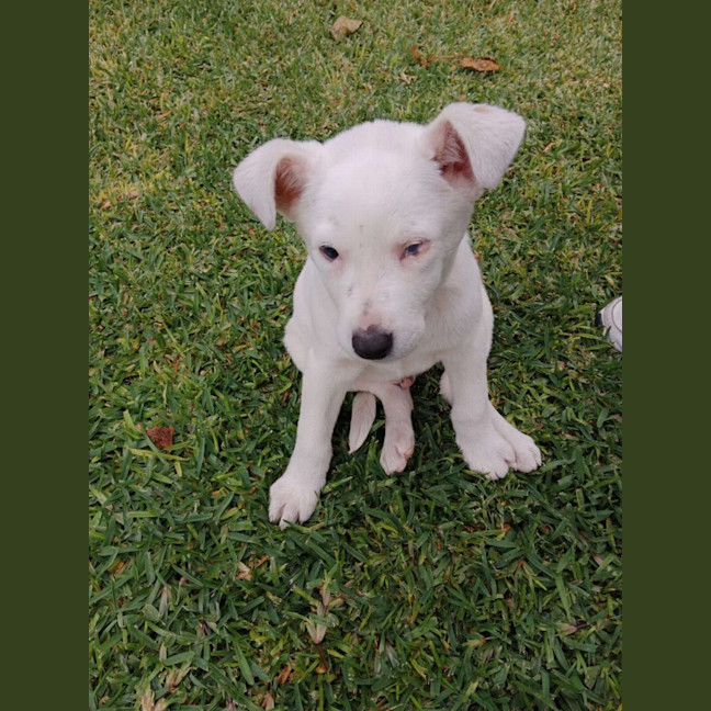 Photo of Polar