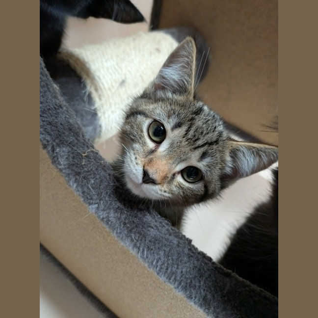 Photo of Artemis