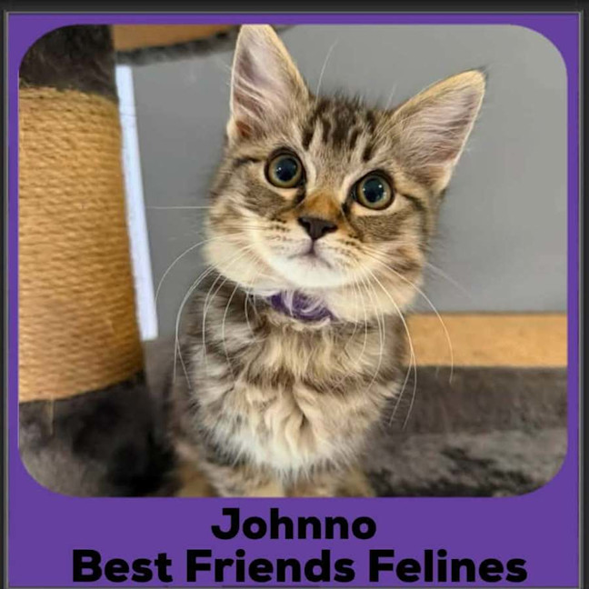 Photo of Johnno 