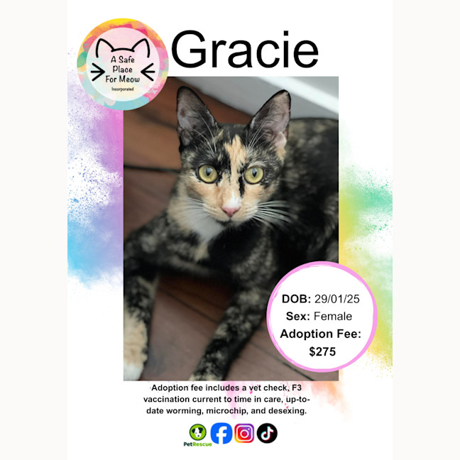 Photo of Gracie