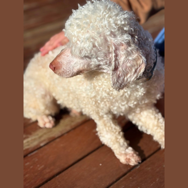 Photo of Winny