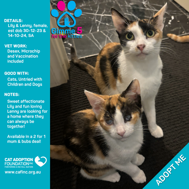 Photo of Lily & Lenny 2 For 1 Mum & Bubs Deal!