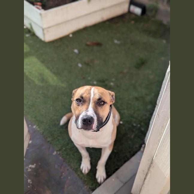 Photo of Rosemary Kumara