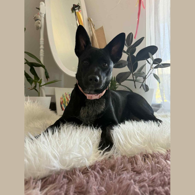 Photo of Felice (Astrid)