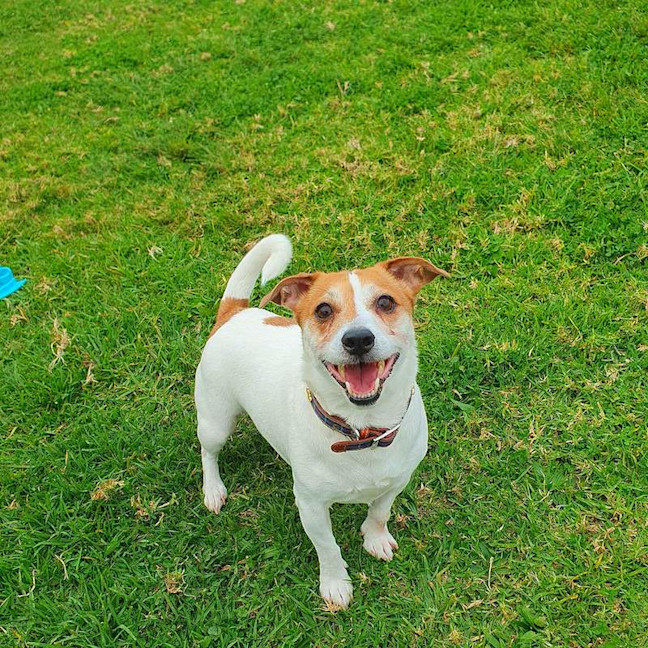 Photo of Suki