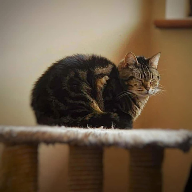 Photo of 7402   Abigail