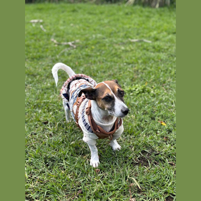 Photo of Jake