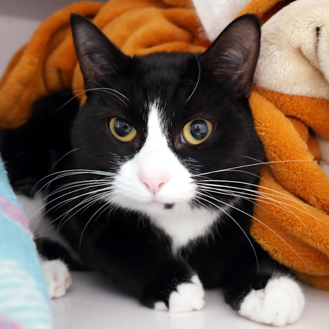 Photo of Belle Sua015038