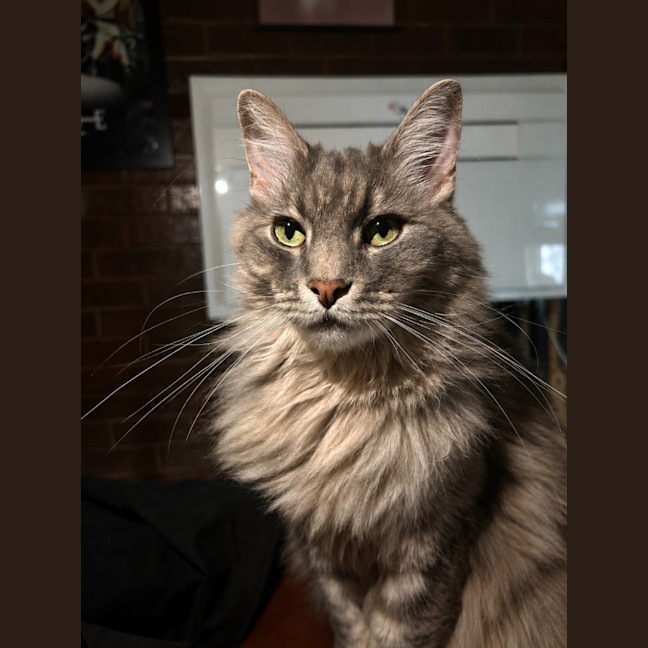 Photo of Pierre
