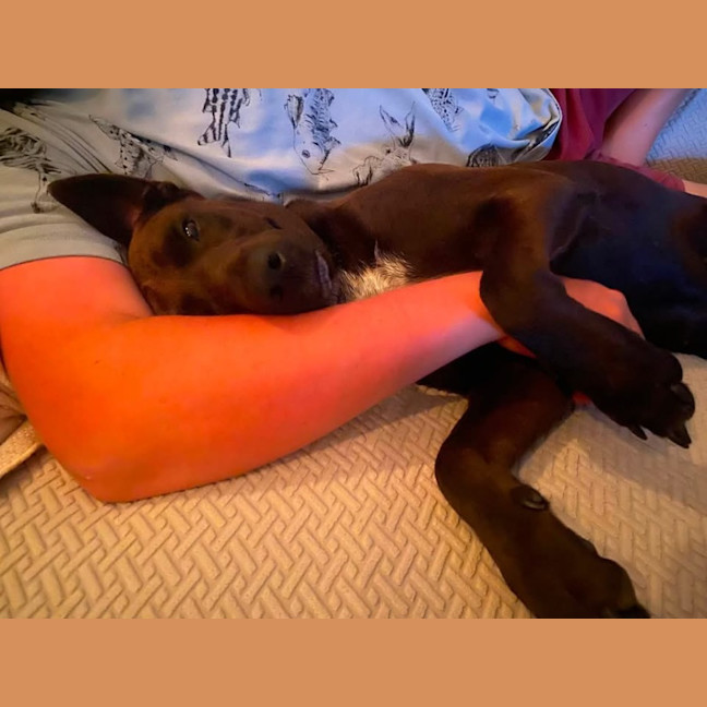 Photo of Bonnie