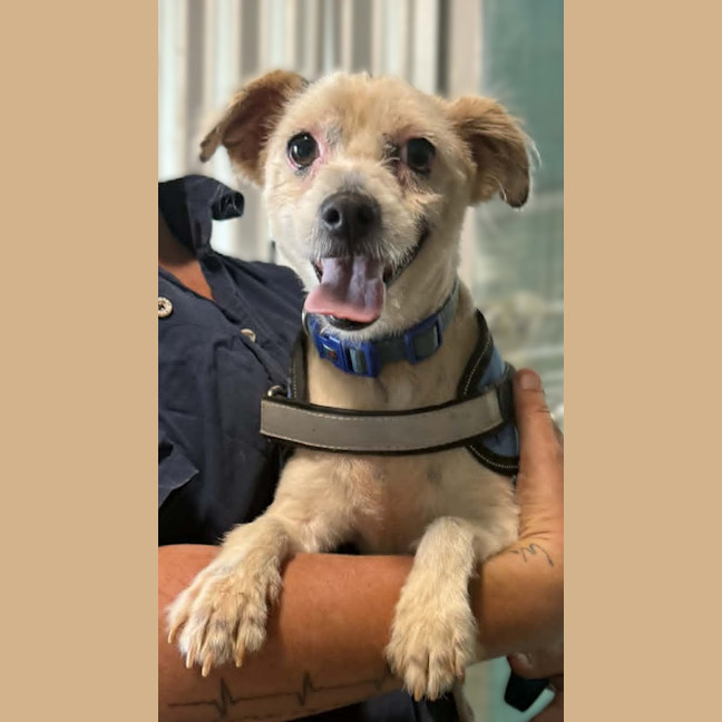Photo of Max