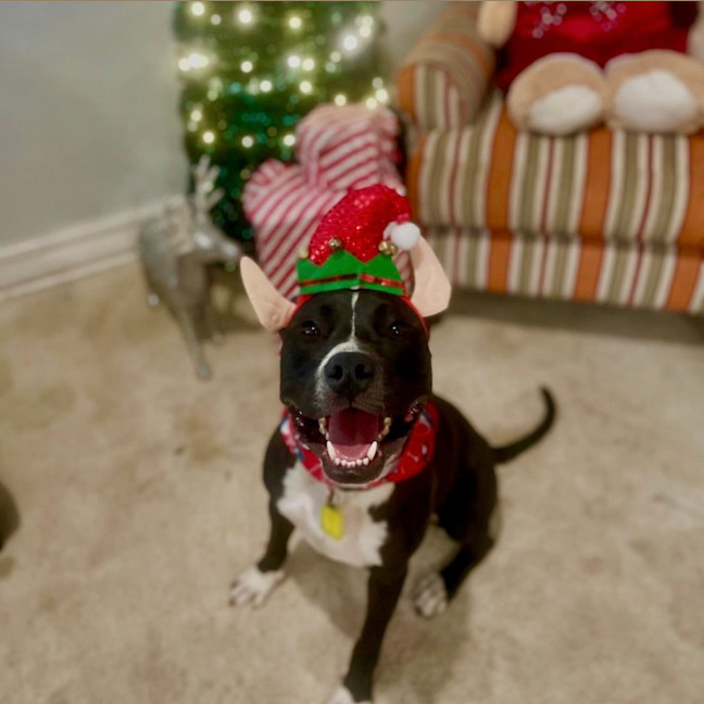 Photo of Flint