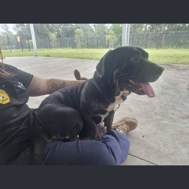 Photo of Fred Imp 2407