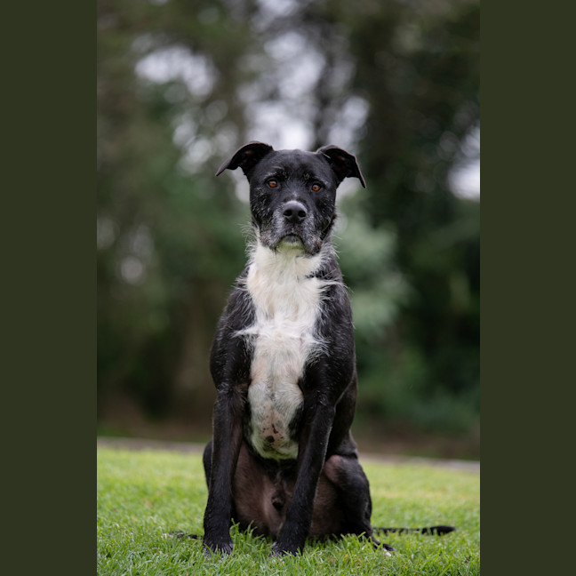 Photo of Snoop
