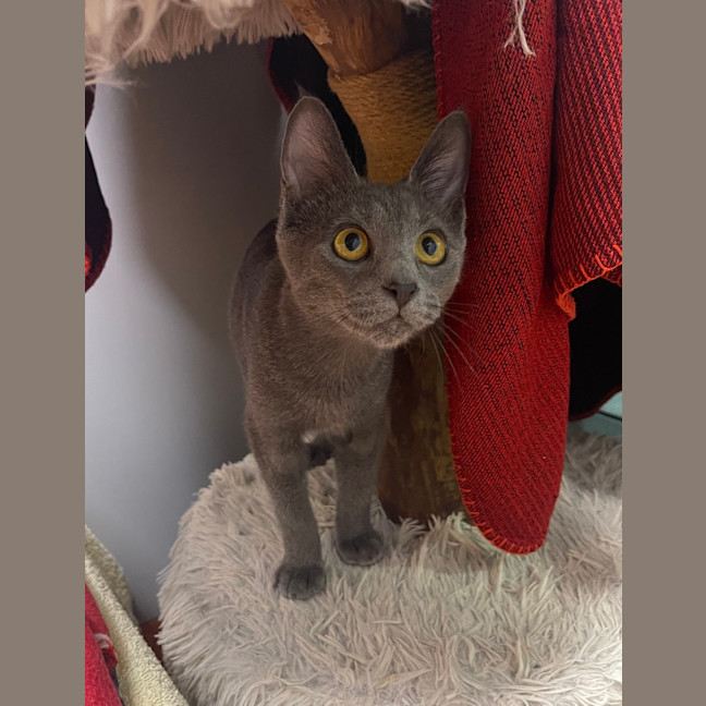 Photo of Hermes