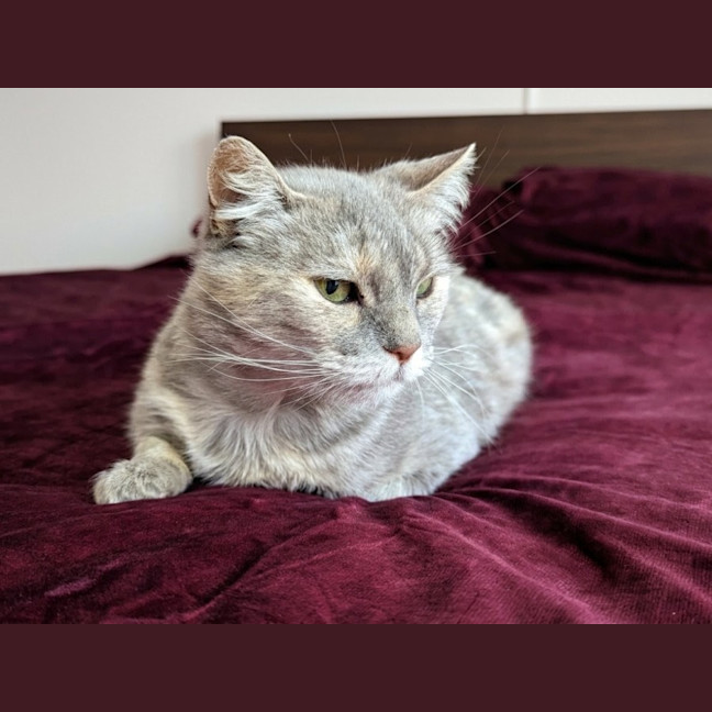 Photo of Fae