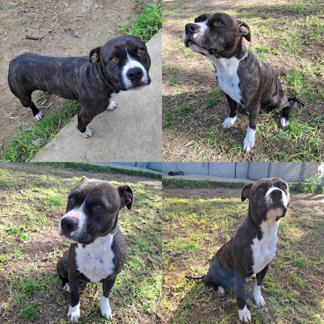 Photo of Coco