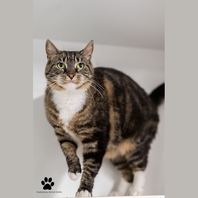 Photo of Laverne