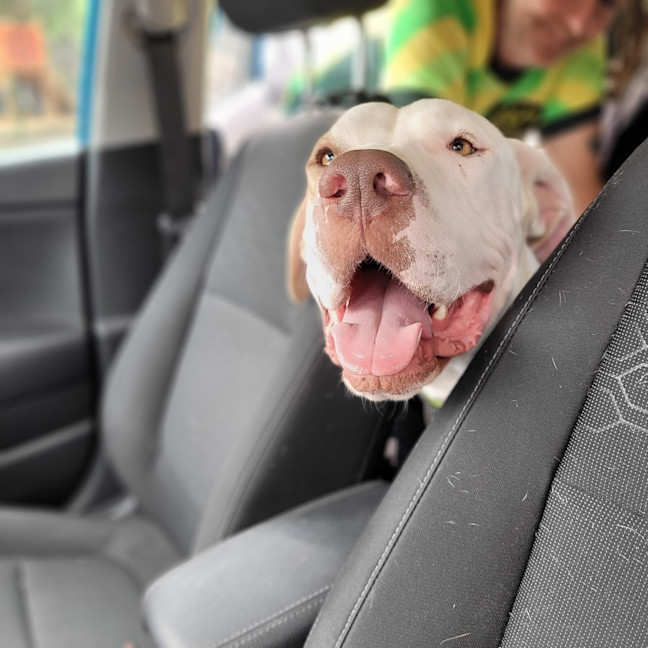 Photo of Mackalicious