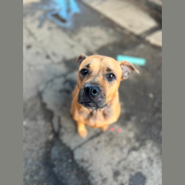 Photo of Dot