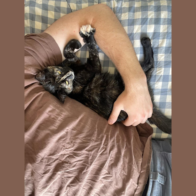 Photo of Sweet Pea   Located In Northcote