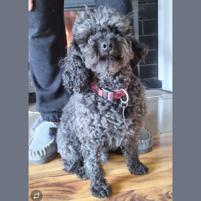 Photo of Alby