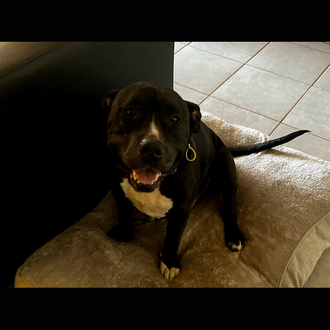 Photo of Oodie (Muggsy)