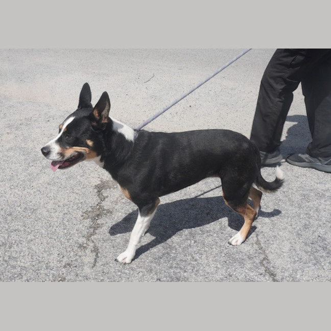 Photo of Tia