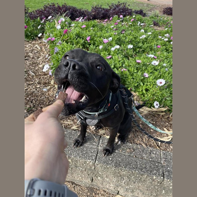 Photo of Tequila