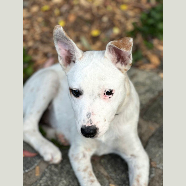 Photo of Moira