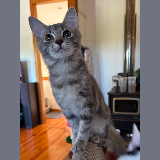 Photo of Jadzia