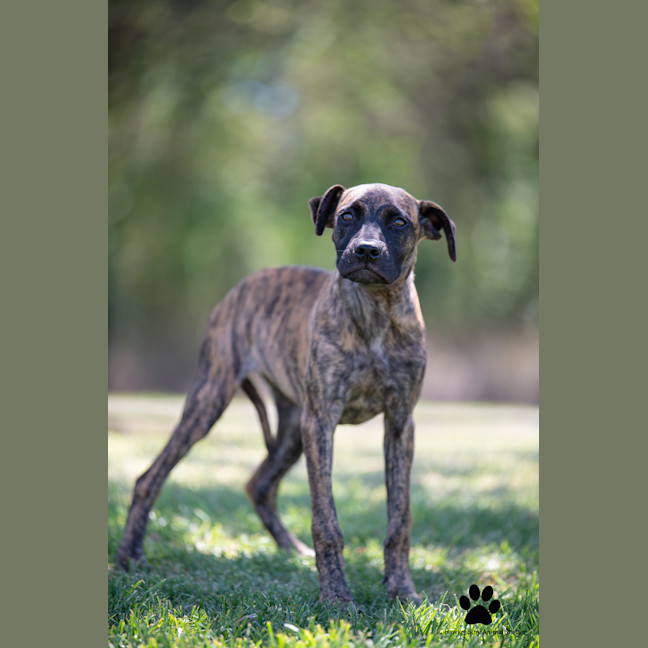 Photo of Maggie