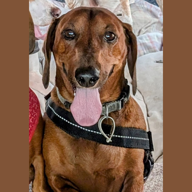 Photo of Harry / Sally