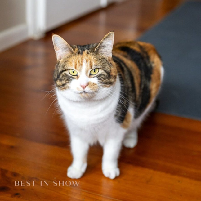 Photo of Mrs Miyagi
