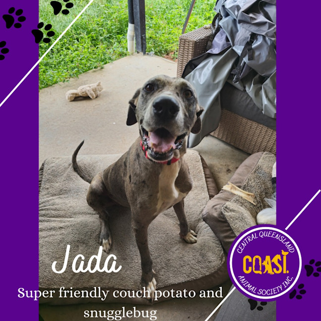 Photo of Jada