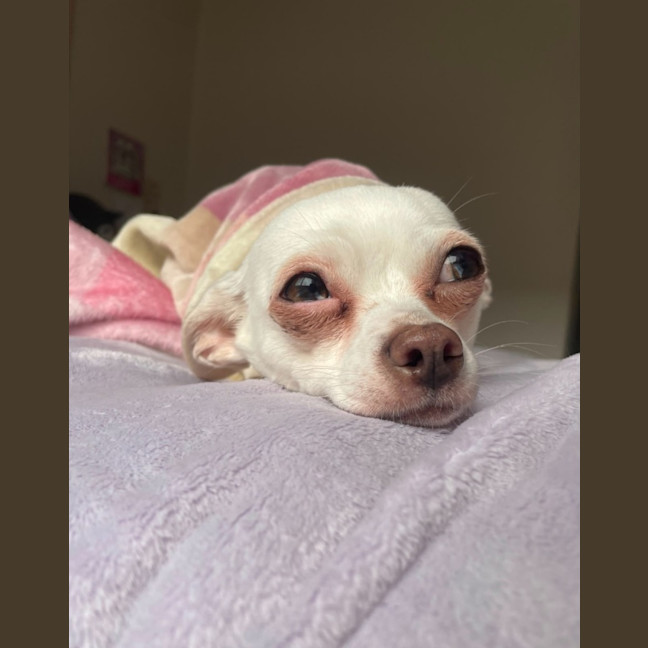 Photo of Barbie
